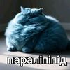 userqhvds8p9ow