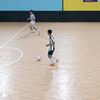 lutfialamsyah87