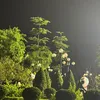 Nhân Vô Thập Toàn