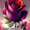 userm8d2eydtff
