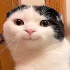 nubakachi223