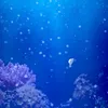 umiumibou123