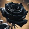 rastafary961