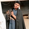 haroonshah828