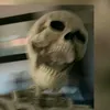 ohnedichimmer