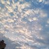 user46081013131491
