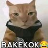 beymieayam