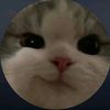 user80560771526