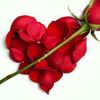 sheikh_saab_0007