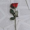 user68820183318