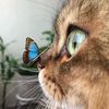 littlemissengineertobe