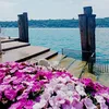 la.vita.in.italia2