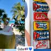 indii.celine