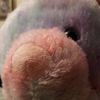 rainbowgummybears1