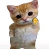 ander_6910