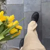 chrysan_themum26