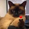 fiend_mun_luv
