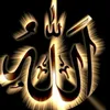 teratai122309