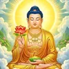atphan81