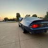 kaiden_cather8