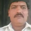 gull.nazar733