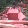 akudandiriku41