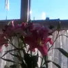 michellexoxoxo9