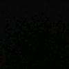 iman_331a