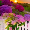 yassmine_562