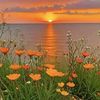 __lonya__1631