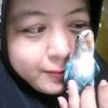 henny.angga8