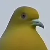 takia984