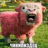 buldozerrrzzzz