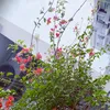 haohao11168
