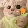 thoppluss