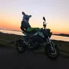 benelli_bunnybiker