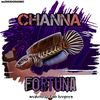 channafortuna