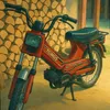 nenad7659