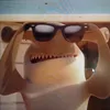 hungry_shark.pl