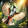 vanbaoo_5