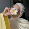 z1iinaaa