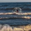 naturewave_ira