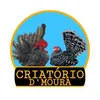 criatoriodmoura