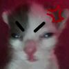margely.dayrana.t