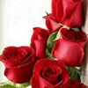 user67rrssx5ru