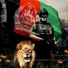 mirwaisamiri84