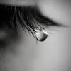 user7585774045188