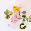 natural_products7