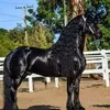 abdulmusawir265