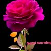 user8613380617249